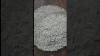 தேங்காய் பால் பிரியாணி | Easy Coconut Milk Biryani in Tamil | Soft & Flavorful 