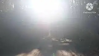 Sitabani conservation#the wild animal #wild forest