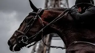 Paint the town red || Equestrian music video ||