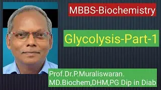 Overview of Glycolysis-Part-1 #muralis simplified biochemistry 