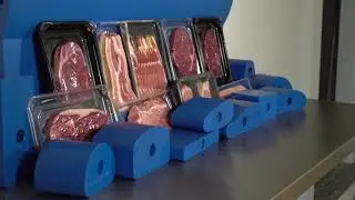 英國 DanTech-肉品3D整形機