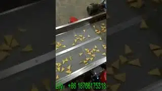 Bugle chips processing line in South AfricaLily