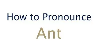 How to Pronounce Ant