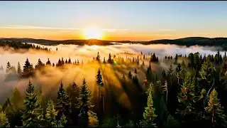 Relaxing Music for Restful Sleep & Inner Healing 🌙