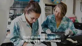 Oikonos en acci&oacute;n