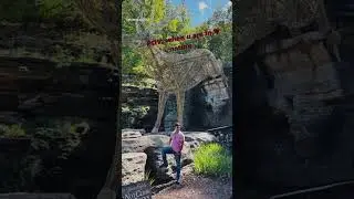 #lostcanyon#indianinusa #fypシ #ytshorts #itstrending #videshilifestyle 🇺🇸🧚&zwj;♂️🥰🎊✨