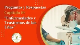 Preguntas y Respuestas Capitulo 10 
