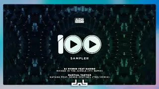 DJ Hybrid - Raised in the Jungle (T❯I Remix)