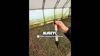 ⠀ТГК: КФХ &laquo;Изумрудная Миля&raquo;⠀⠀⠀⠀ПО ВОПРОСАМ И ЦЕНЕ:+375296011066 все мессенджеры!