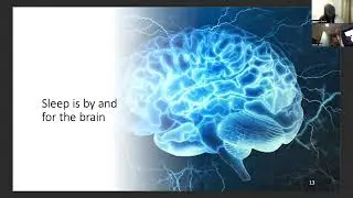 Introduction to Sleep by Dr Oliver Bernath - The Chelsea Psychology Clinic - CPD