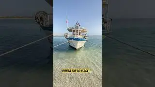 Ltes explore djerba with the optics 🏝️ #djerba #travel #ijou_gdena #couple #khoty #tunisia