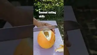 king🤴 coconut Cutting s kills #short #sri lanka #100🥥🗡
