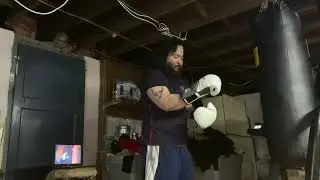 70lb light  bag 12oz sparring gloves