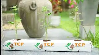 TCP Exports(Pvt) Ltd, Coco Peat Sri Lanka, Grow Bags, 5kg Blocks, Husk chips, Briquettes,  Exporter.