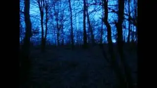 Decalius - a miserable life (unfinished) (slowed and extended)