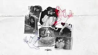 ICEBIRDS - TEN TOES [PROD. SWVSH] (OFFICIAL AUDIO)