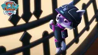 O tempo está se esgotando! - Patrulha Canina PAW Patrol - Desenhos animados para crianças