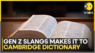 Internet Slang &lsquo;Skibidi&rsquo; And &lsquo;Delulu&rsquo; Enter Cambridge Dictionary | WION