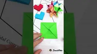 Viral video snack video