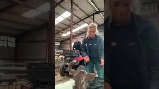 AGRICULTRICE -ENTRE FILLES A LA FERME #agricultrice #agriculture #ferme