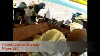 Trailed Cassava Harvester of 2 Manual Rows w/ Big Bags System