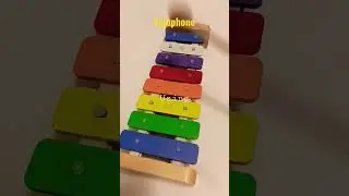 PLAYING BINGO SONG USING XYLOPHONE #shorts #likeforlikes #love #bingo #kids #games #share