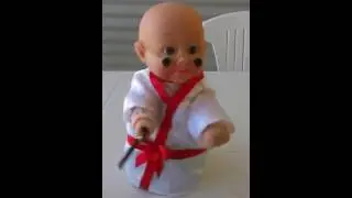 Kung fu doll