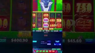 What a night &ldquo;Big bad wolf couldn&rsquo;t stop me &ndash; MANSION bonus on Huff n&rsquo; Puff! 🏠💥🐺&rdquo;