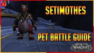 Setimothes Pet Battle Guide - Dragonflight