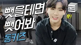 동키즈(Dongkiz) - 