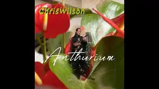 Tears Of Joy-Chris Wilson Music. cover Govi