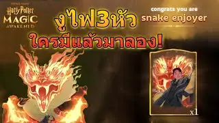 งูไฟ3หัว ใครมีแล้วไม่ได้ใช้มาลอง! | Harry Potter : Magic Awakened