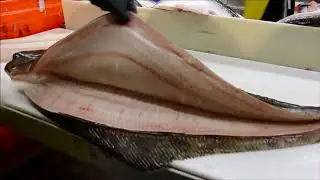 Satisfying Video [ FISH FILLETING ] - PRIDE'S COMPILATION