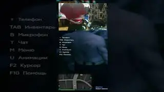 #gta #twitch #развитиянагта5рп #gta5 #gta5rp #clips #gtarp #стрим #gta5rp #гта5рп #grapeseed