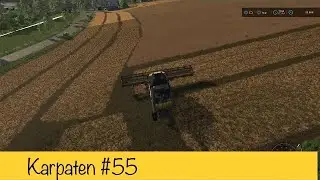 LS22 - Karpaten #55 | Rapsdrusch | Let's Play - PS5, deutsch