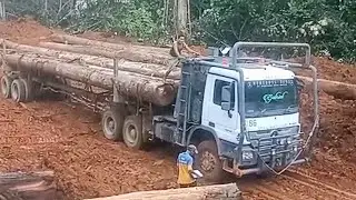 Proses muat kayu logging truck di blok pedalaman hutan Kalimantan