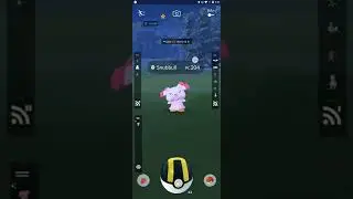 Snubbull 100ivs Shiny 
