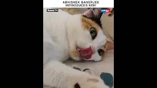 Meet Abhishek Banerjee's grumpy pet cat KIWI