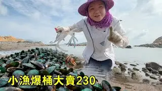 雨後海島變趕海寶地，小漁螃蟹、青口爆桶，上岸輕鬆大賣230【漁小仙】