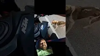 RTO officer