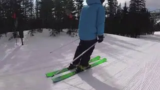 2020 Ski Test - Elan Ripstick 96 Skis