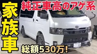 【ハイエース】これぞファミリーエース‼️家族との思い出を作ろう‼️