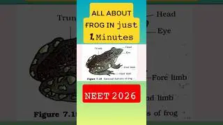 Frogs NEET biology important details l #neet #biology #shorts #youtubeshorts #viral #neettrack