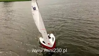 Yacht Mini 230