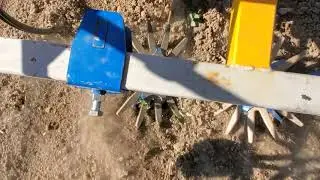 Finger Weeders on Squash