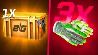One Case - 3 Pairs of HEDGE MAZE?!