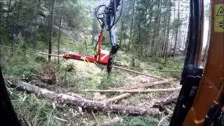 Hanix med Naarva hjelper til med nedblåste trær.