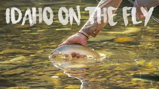 A Week of Cutthroat and Bull Trout Fishing in the Idaho Backcountry