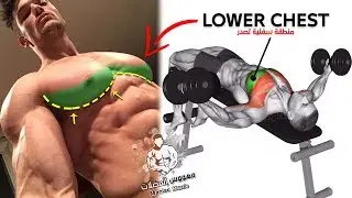 лучшее упражнение для тренировки нижней части груди 🔥