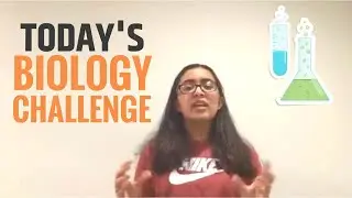 Biology Challenge